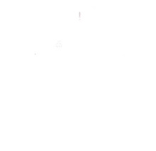 dirtsdevilbm T-Shirts
