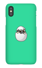recgoose iPhone Phone Cases