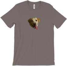 SHINER DOGGO