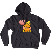 izzy22x Hoodies (No-Zip/Pullover)