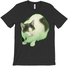 Scuffed Kitty