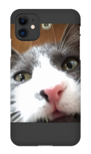 gullkatten iPhone Phone Cases