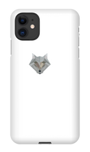 Trx Frosty's iPhone Cases