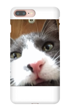 gullkatten iPhone Phone Cases