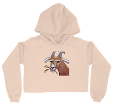 hoodie-women-cropped