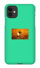Aidan Rockel-Bigus iPhone Phone Cases