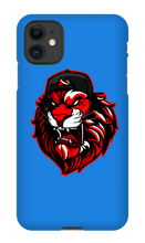 liwi_kiwi_x3 iPhone Phone Cases
