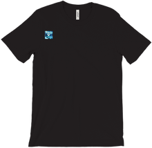 fuzionsnow12 T-Shirts