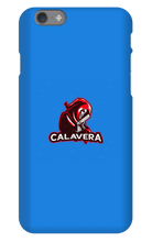 Funda de iPhone
