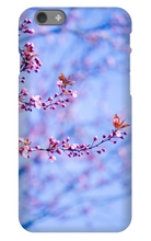 tanikohorigome iPhone Phone Cases