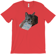 Bad Boy Stew T-Shirts