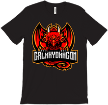 galaxydragon23 T-Shirts