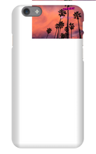 palm seas limited case