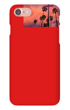 palm seas limited case