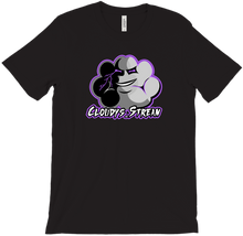 cloudys_stream T-Shirts