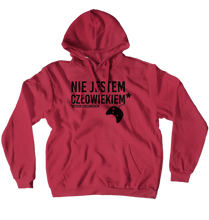 Hoodies (No-Zip/Pullover)