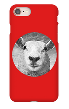 GraySheep  iPhone Cases