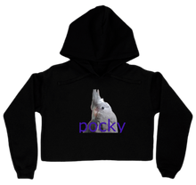 pocky cropped hoodie