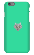 Trx Frosty's iPhone Cases