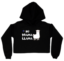 NDL Crop Hoodie