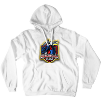 Dragon Sage Hoodies (No-Zip/Pullover)