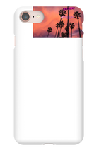 palm seas limited case