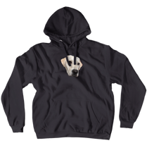 ViJudge Hoodies (No-Zip/Pullover)