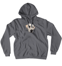 ViJudge Hoodies (No-Zip/Pullover)