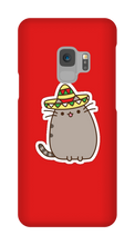 Kitty Tako Case