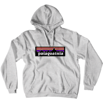 patagonia hoodie