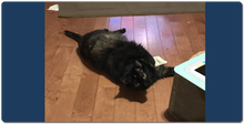 Little Bit extra large mousepad