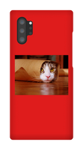 Funny Taco Cat Samsung Phone Case