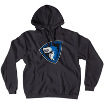 Vivid's Hoodies (No-Zip/Pullover)