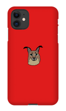 richer_rain iPhone Phone Cases