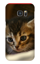 pamplemousse2stv Samsung Phone Cases