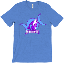 ladywindstorm T-Shirts