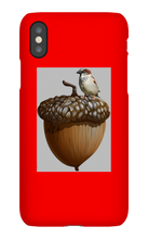 birds_and_squirrels iPhone Phone Cases