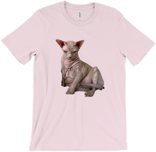 BRUCEWITHSHORTARMS