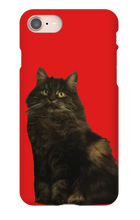 katten23cool iPhone Phone Cases