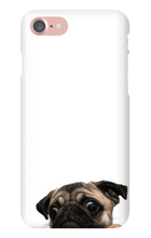 pugzzz iPhone Phone Cases