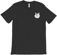 aisquin badge shirt