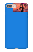 palm seas limited case