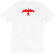 tshirt-back