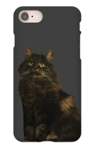 katten23cool iPhone Phone Cases