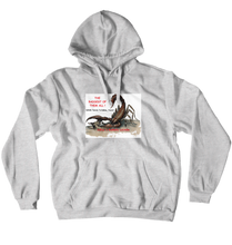 ideal_touch Hoodies (No-Zip/Pullover)