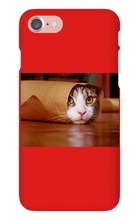 Funny Taco Cat Iphone Case