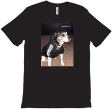 tcanzz T-Shirts