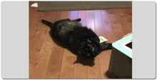 Little Bit extra large mousepad