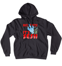 Hey guys, its Sesh Hoodie
