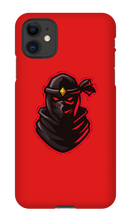 the case